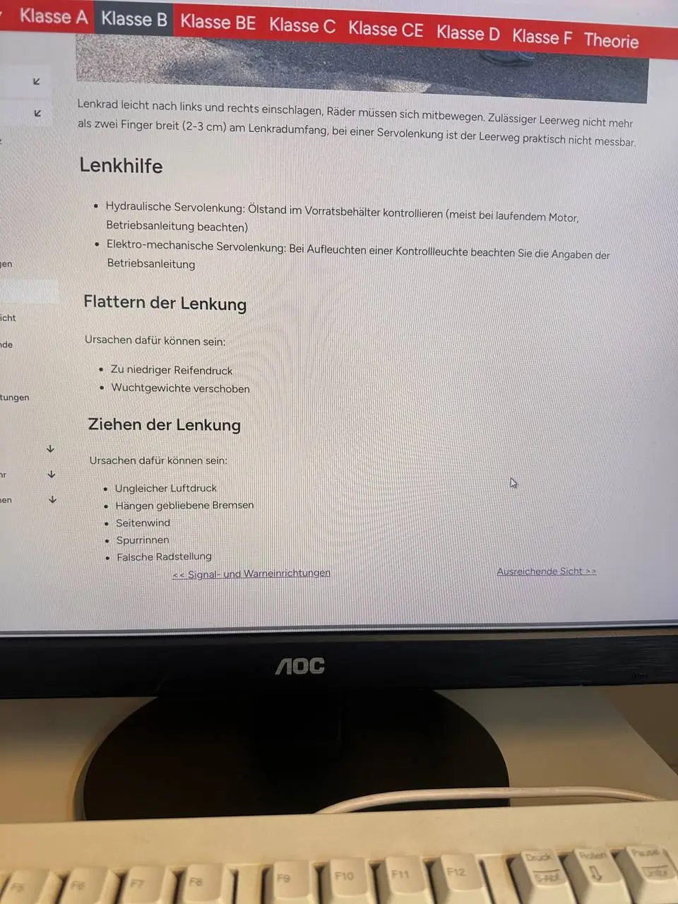 Lenkung Fehler